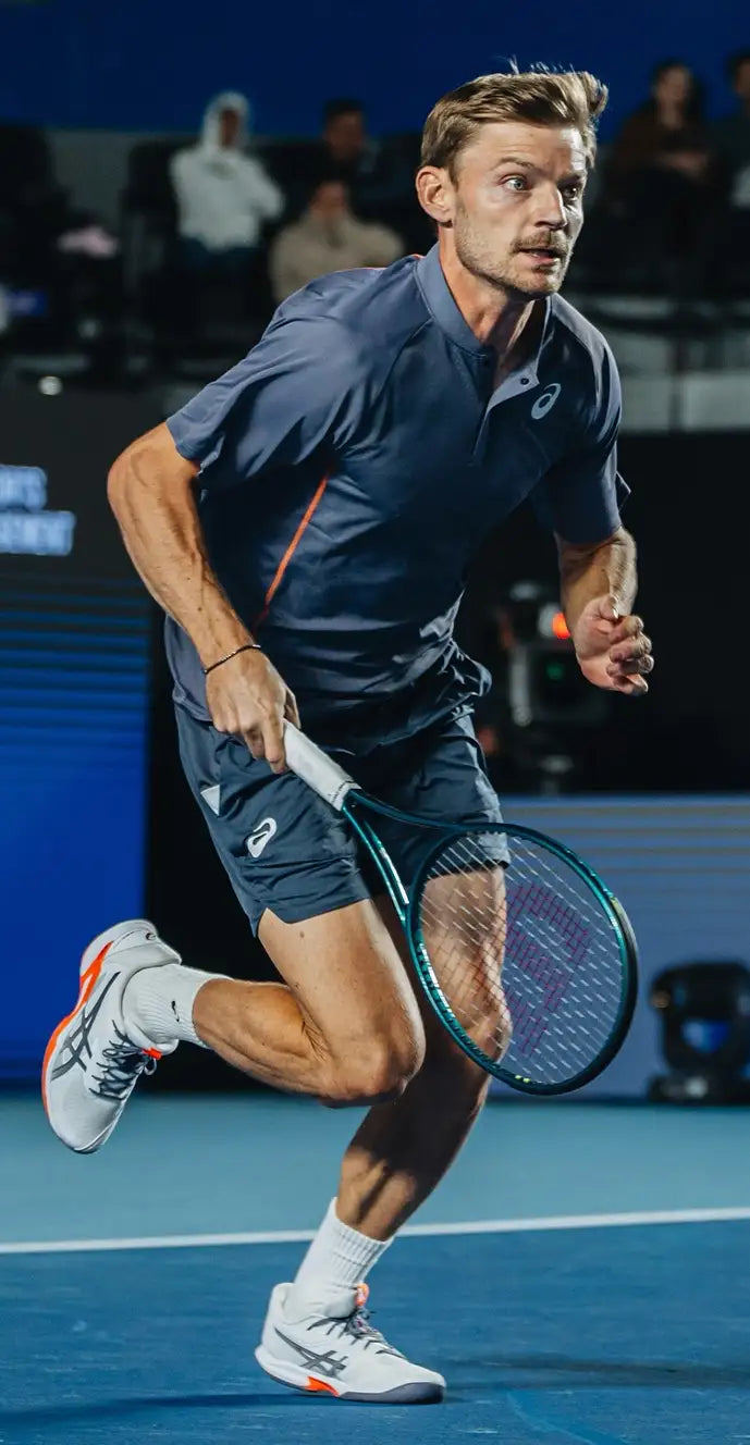 David Goffin