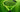 Head Extreme MP XL 2026 Review