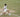 What Is a Walkover in Tennis? Understanding This Common Tournament Occurrence