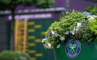 Wimbledon Players to Follow