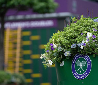 Wimbledon Players to Follow