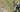 How Tennis Tournaments Work?: Draws, Seeds, and Byes