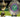 10 Facts You Didn't Know About Wimbledon