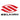 Selkirk Pickleball Paddles