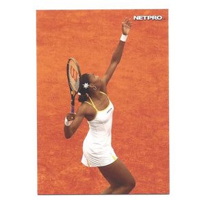 NETPRO Photo Edition Tennis Collector Card Set-Memorabilia-Netpro-184Z-2-Tennis Express