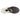Men's Motion Pro Padel Shoes White and Black-Footwear-Head-273645_2-Tennis Express