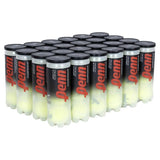 Championship Extra Duty Tennis Ball Case-Balls-Penn-521001CS-X-Tennis Express