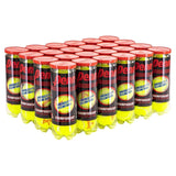 Championship Regular Duty Tennis Ball Case-Balls-Penn-521101CS-Tennis Express