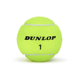 ATP Championship Extra Duty High Altitude Tennis Ball Case,Balls,Dunlop,,,Tennis Express,601656CS-3
