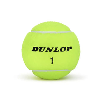 ATP Championship Extra Duty High Altitude Tennis Ball Case,Balls,Dunlop,,,Tennis Express,601656CS-3