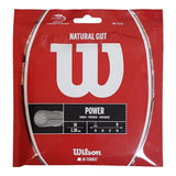 Natural Gut Tennis String-Strings-Wilson-65528-DEFAULT-L-Tennis Express