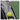 Pickleball Keychain-Accessories-Gamma-APBKC10-2-Tennis Express