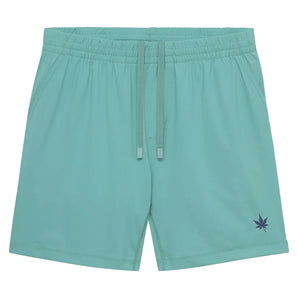 Men's Peak Performance 2IN1 Short Seafoam,Apparel,Boast,300 Seafoam,S,Tennis Express,BM5SH31-SF