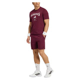 Men's Classic Graphic Tennis Tee Maroon,Apparel,Adidas,,,Tennis Express,KV0785-5