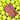 Women's Tennis Socks-Socks-Racquet Inc-RITG20-T-P1-Tennis Express