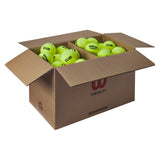 Triniti Club Ball Case-Balls-Wilson-WR8201501_0-Tennis Express