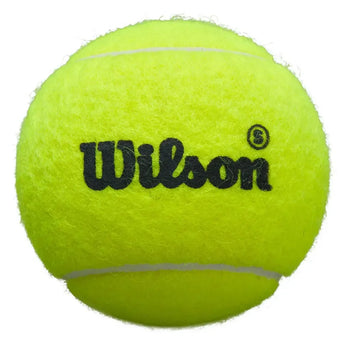 Premier Padel Speed Ball Case-Balls-Wilson-WR8908501_2-Tennis Express