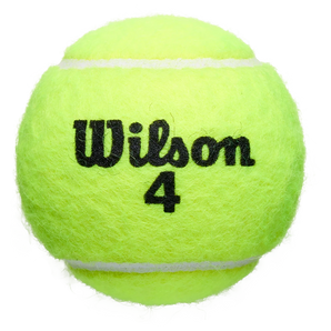 Roland Garros Clay Court Tennis Ball Can,Balls,Wilson,,,Tennis Express,WRT129100E_2