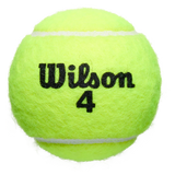 Roland Garros Clay Court Tennis Ball Case,Balls,Wilson,,,Tennis Express,WRT129100E_2_c6e927bc-1829-4947-96bb-a537b0dfd62c