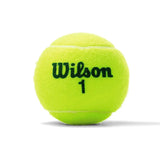 US Open Green Tournament Tennis Ball Case-Balls-Wilson-WRT137500CS-21-Tennis Express