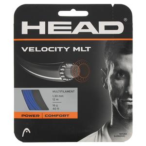 Velocity MLT Tennis String BLUE